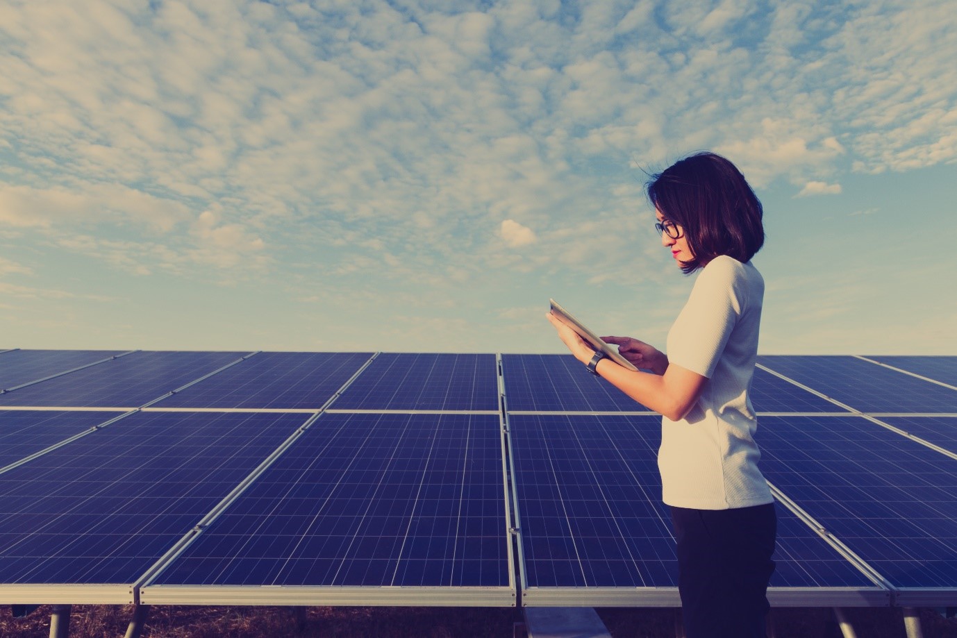 How Women Entrepreneurs Are Shaping the Future of Peace, Security, and Clean Energy