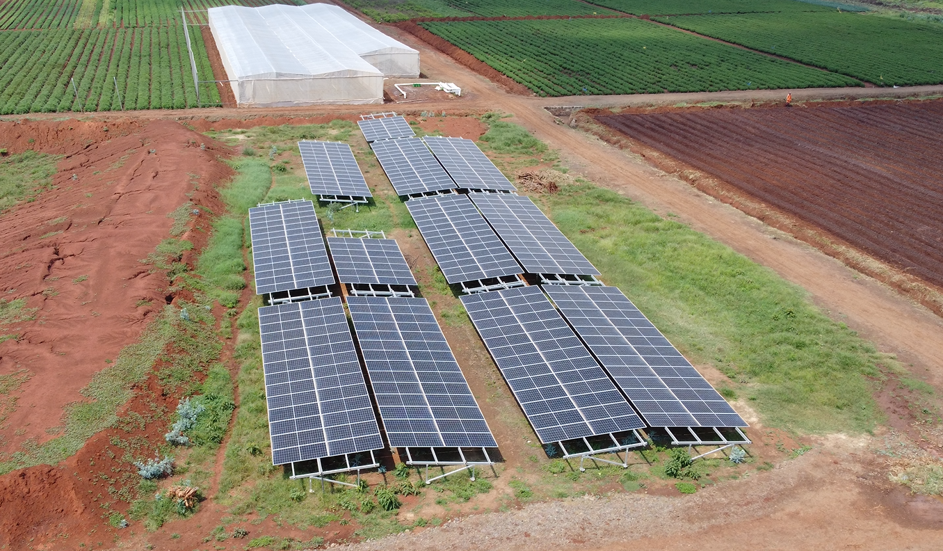 How South Africa’s Mega-Solar Farms Are Powering a Cleaner Future